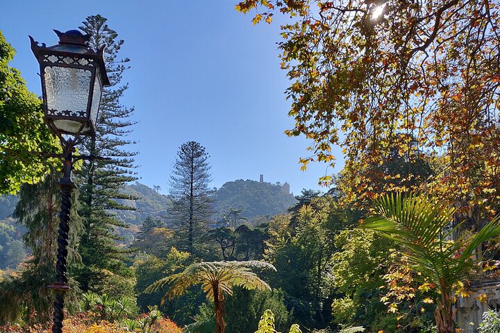 Half-day tour exploring Sintra's Pena Palace and Quinta da Regaleira from Lisbon, photo 11 | wizardtrip