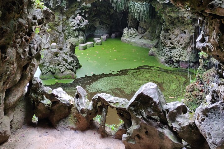 Half-day tour exploring Sintra's Pena Palace and Quinta da Regaleira from Lisbon, photo 13 | wizardtrip