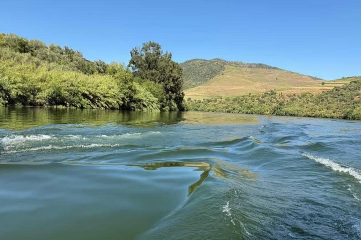 Genießen Sie eine malerische 50-minütige Bootsfahrt auf dem Douro in Pinhão, Portugal, mit Blick auf Weinberge und Portwein, Foto 9 | wizardtrip
