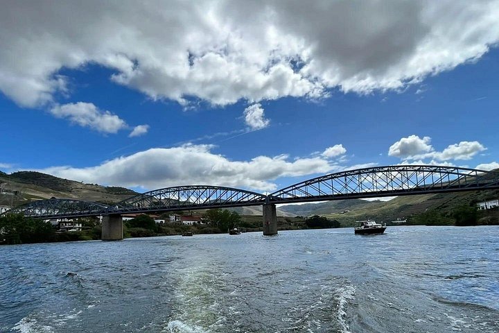 Genießen Sie eine malerische 50-minütige Bootsfahrt auf dem Douro in Pinhão, Portugal, mit Blick auf Weinberge und Portwein, Foto 11 | wizardtrip