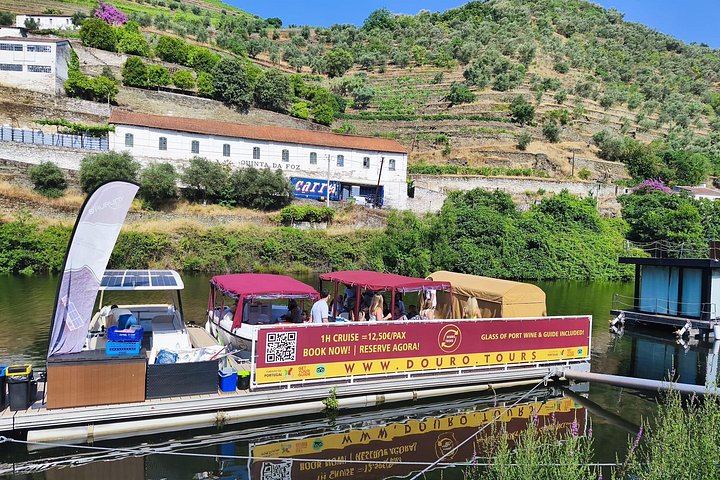 Genießen Sie eine malerische 50-minütige Bootsfahrt auf dem Douro in Pinhão, Portugal, mit Blick auf Weinberge und Portwein, Foto 13 | wizardtrip