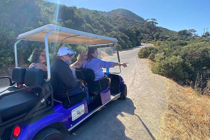 Visite privée en voiturette de golf explorant les sites d'Avalon à Catalina Island, USA, photo 10 | wizardtrip