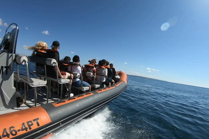 Excursión en barco a las famosas cuevas de Benagil desde Lagos, Portugal, foto 6 | wizardtrip