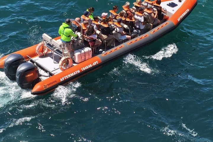 Excursión en barco a las famosas cuevas de Benagil desde Lagos, Portugal, foto 27 | wizardtrip