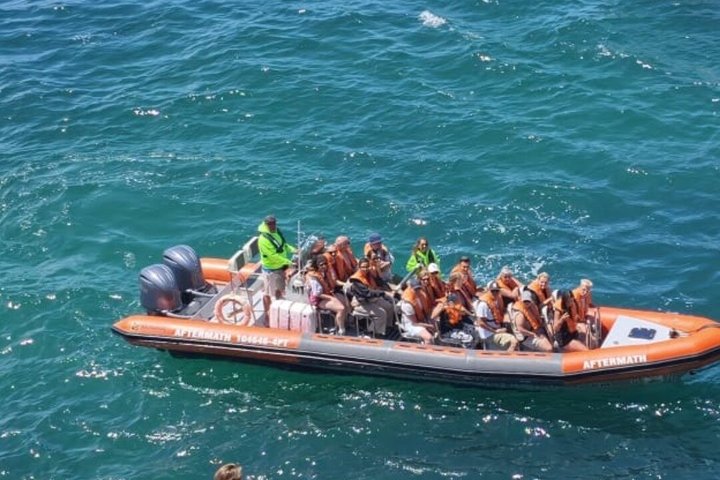 Excursión en barco a las famosas cuevas de Benagil desde Lagos, Portugal, foto 28 | wizardtrip