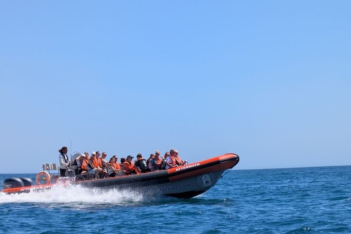 Excursión en barco a las famosas cuevas de Benagil desde Lagos, Portugal, foto 30 | wizardtrip