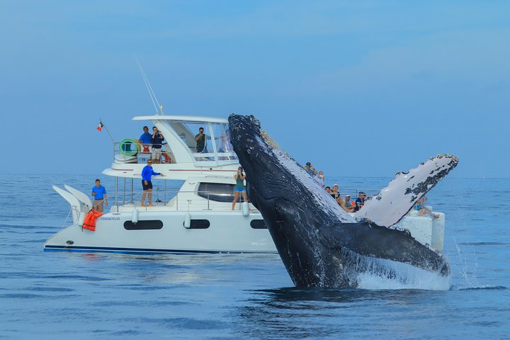 Luxe jacht tour in Puerto Vallarta met snorkelen en open bar, foto 13 | wizardtrip