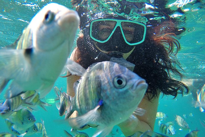 Verken de prachtige Phi Phi Eilanden, inclusief Maya Bay en Bamboo Island, tijdens een dagtocht vanuit Phuket, foto 12 | wizardtrip
