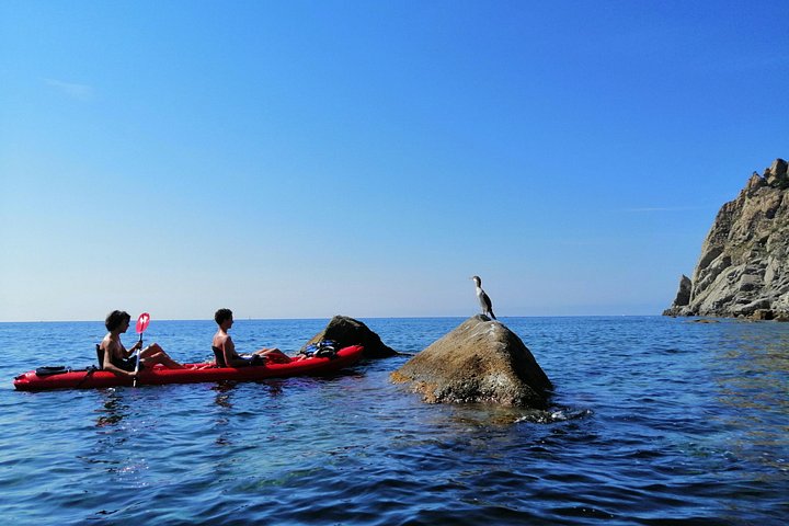 Kajak- og snorklingstur i Monterosso al Mare, Cinque Terre, Italien, udforskning af kysten og havlivet, foto 7 | wizardtrip