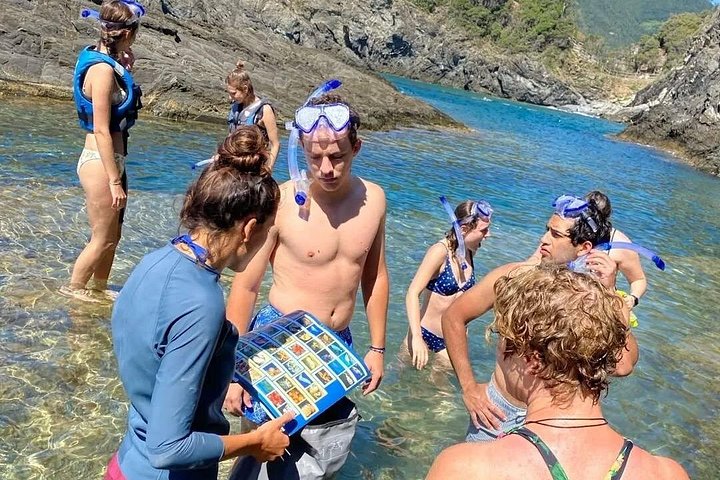 Kajak- og snorklingstur i Monterosso al Mare, Cinque Terre, Italien, udforskning af kysten og havlivet, foto 27 | wizardtrip