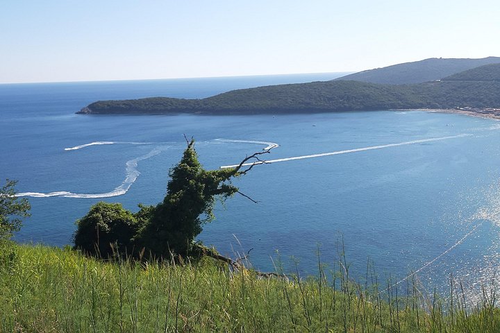 Schilderachtige tour door de Baai van Kotor in Montenegro, met bezoek aan Perast, Kotor en Budva, foto 14 | wizardtrip