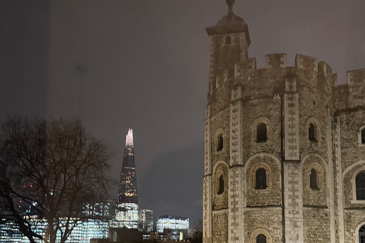 Explore the historic Tower of London, see the Crown Jewels, and learn its secrets with a local expert, photo 17 | wizardtrip