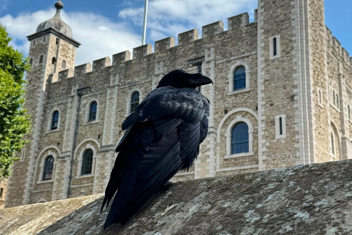 Explore the historic Tower of London, see the Crown Jewels, and learn its secrets with a local expert, photo 25 | wizardtrip