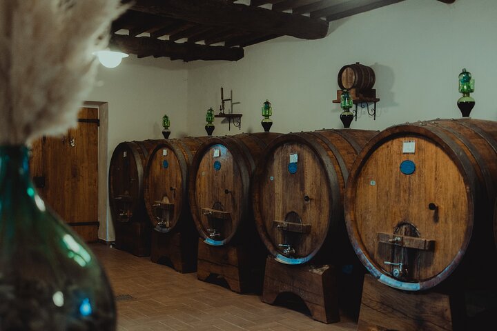 Genießen Sie eine Weinprobe im Weingut Tenuta Adamo in Lucca, Italien, mit Blick auf die Weinberge, Foto 6 | wizardtrip