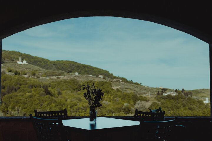 Genießen Sie eine Weinprobe im Weingut Tenuta Adamo in Lucca, Italien, mit Blick auf die Weinberge, Foto 7 | wizardtrip