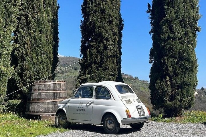 Genießen Sie eine Weinprobe im Weingut Tenuta Adamo in Lucca, Italien, mit Blick auf die Weinberge, Foto 9 | wizardtrip