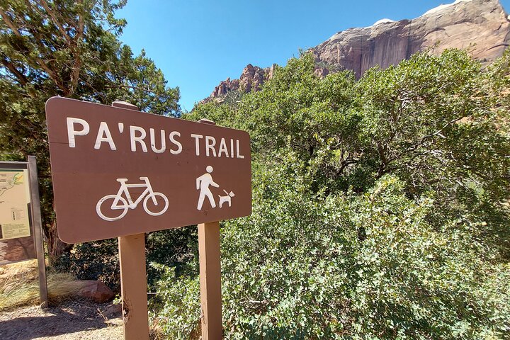 Visite guidée en vélo électrique à travers les paysages pittoresques du parc national de Zion, USA, photo 6 | wizardtrip
