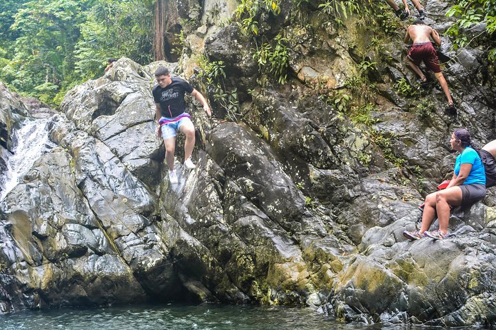 Esplora le cascate e le piscine naturali della foresta pluviale di El Yunque in un tour avventura guidato da San Juan, foto 6 | wizardtrip