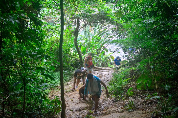 Esplora le cascate e le piscine naturali della foresta pluviale di El Yunque in un tour avventura guidato da San Juan, foto 7 | wizardtrip