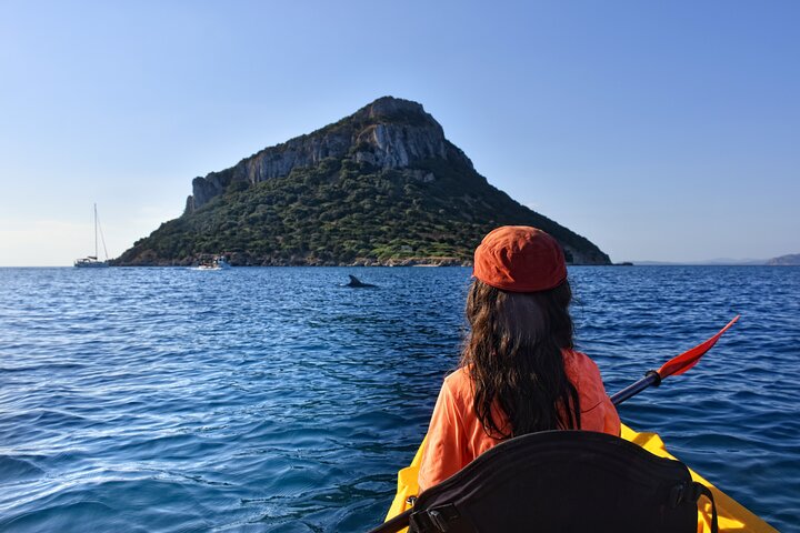Aventura en kayak en Olbia, Cerdeña, con avistamiento de delfines y exploración costera, foto 6 | wizardtrip