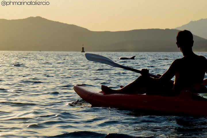 Aventura en kayak en Olbia, Cerdeña, con avistamiento de delfines y exploración costera, foto 7 | wizardtrip