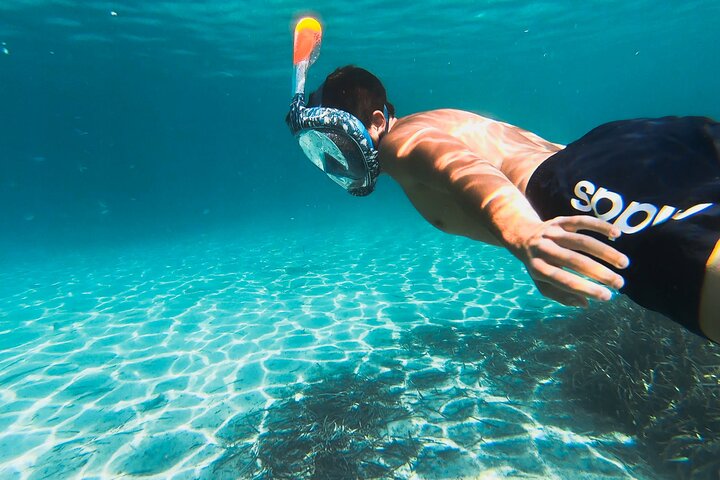 Aventura en kayak en Olbia, Cerdeña, con avistamiento de delfines y exploración costera, foto 8 | wizardtrip