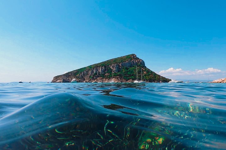 Aventura en kayak en Olbia, Cerdeña, con avistamiento de delfines y exploración costera, foto 9 | wizardtrip