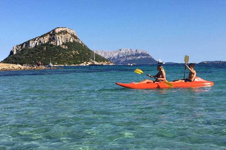 Aventura en kayak en Olbia, Cerdeña, con avistamiento de delfines y exploración costera, foto 11 | wizardtrip