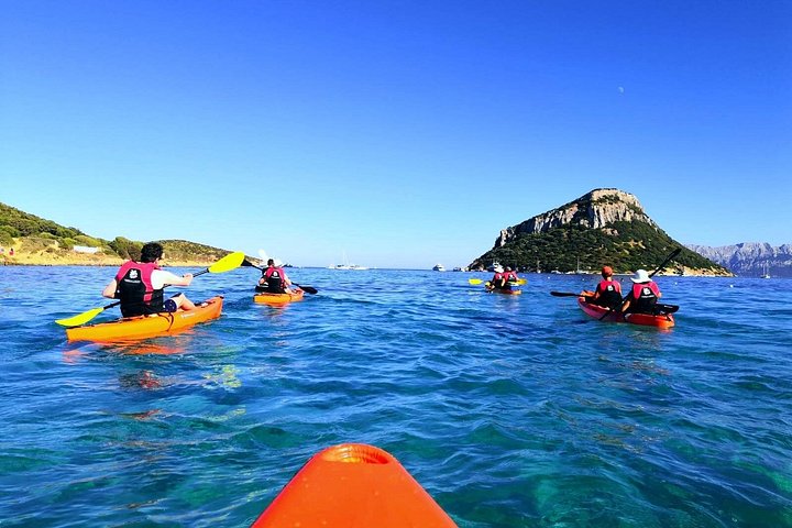 Aventura en kayak en Olbia, Cerdeña, con avistamiento de delfines y exploración costera, foto 13 | wizardtrip