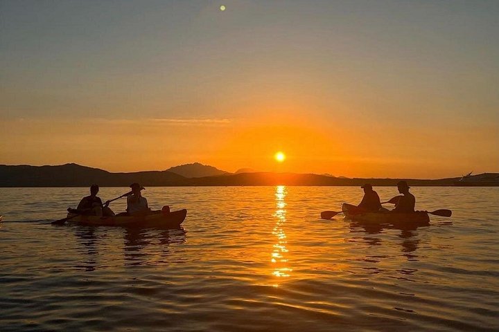 Aventura en kayak en Olbia, Cerdeña, con avistamiento de delfines y exploración costera, foto 16 | wizardtrip