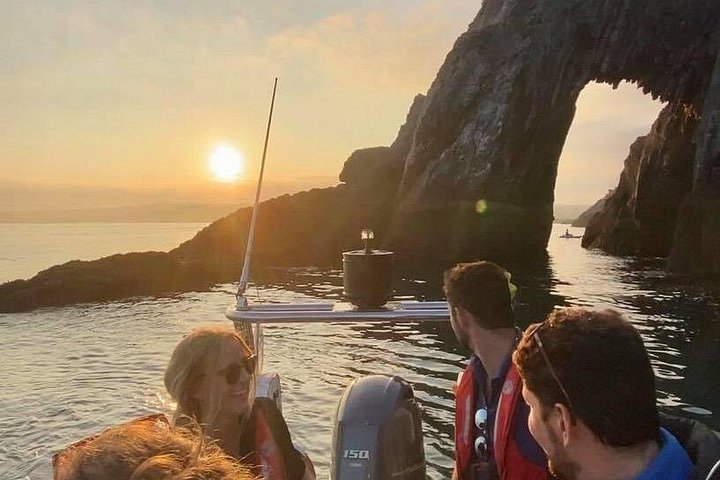 デボンの海岸線を巡るスリル満点のボートサファリで、アザラシやイルカを見つけましょう、写真7 | wizardtrip