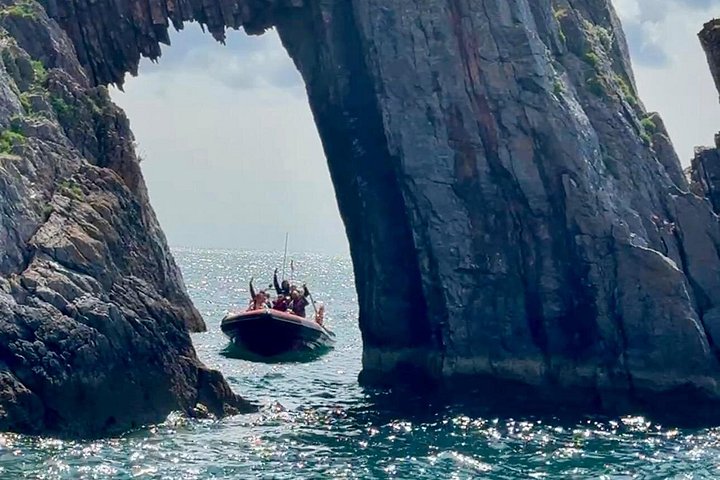 デボンの海岸線を巡るスリル満点のボートサファリで、アザラシやイルカを見つけましょう、写真10 | wizardtrip
