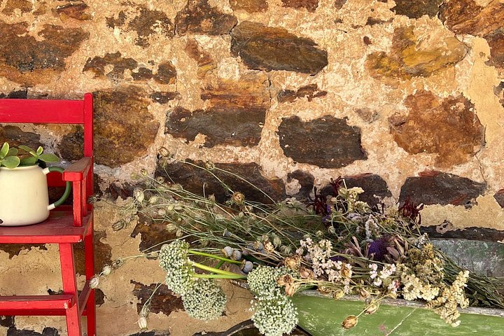 En naturskøn bustur gennem Barossa Valley, Australien, med vinsmagninger, gourmetmad og vinmarkslandskaber, foto 26 | wizardtrip