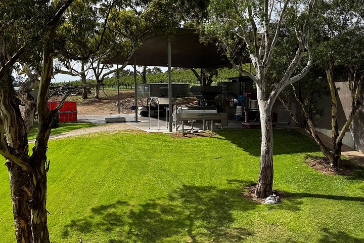 En naturskøn bustur gennem Barossa Valley, Australien, med vinsmagninger, gourmetmad og vinmarkslandskaber, foto 47 | wizardtrip