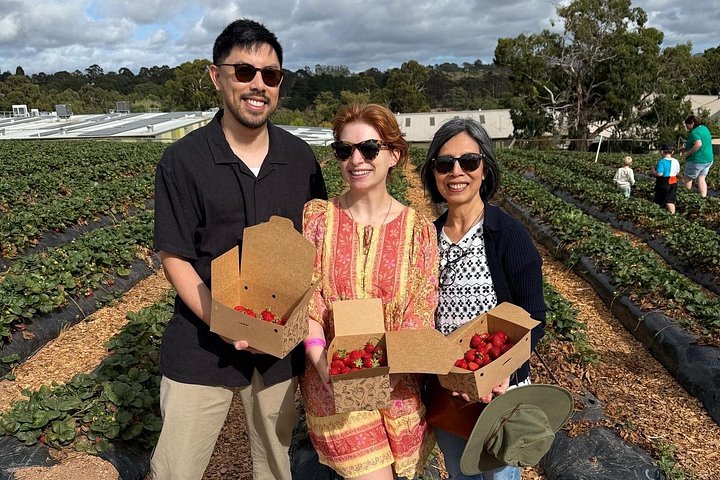 Heldagstur med gourmetoplevelser i Adelaide Hills og Barossa Valley, med vin, mad og naturskønne landskaber, foto 48 | wizardtrip