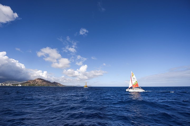 Croisière au coucher du soleil en catamaran le long de la côte de Kohala, Big Island, Hawaï, photo 8 | wizardtrip
