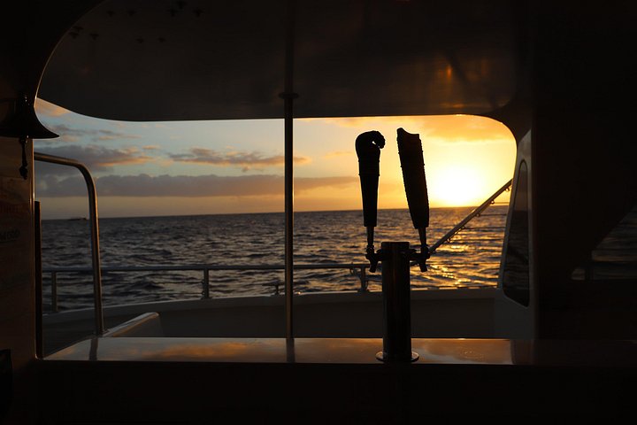 Solnedgangscruise med katamaran langs Oʻahus kyst, med utsikt over Diamond Head og Waikiki, foto 11 | wizardtrip