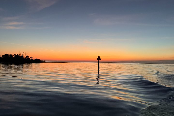 Geniet van een dolfijnencruise bij zonsondergang in Fort Myers Beach, Florida, met uitzicht op de Sanibel Lighthouse, foto 8 | wizardtrip
