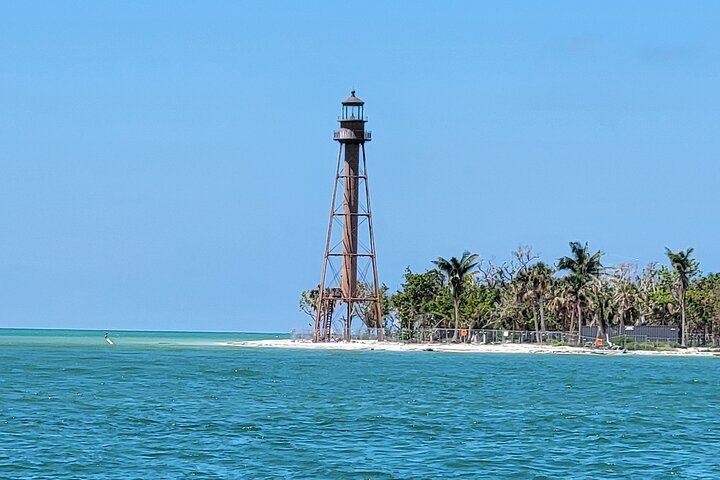 Geniet van een dolfijnencruise bij zonsondergang in Fort Myers Beach, Florida, met uitzicht op de Sanibel Lighthouse, foto 26 | wizardtrip
