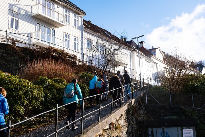 Verken de historische Bryggen-kade van Bergen en charmante straten tijdens een begeleide wandeltour, foto 13 | wizardtrip