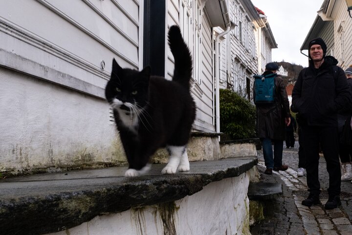 Verken de historische Bryggen-kade van Bergen en charmante straten tijdens een begeleide wandeltour, foto 14 | wizardtrip