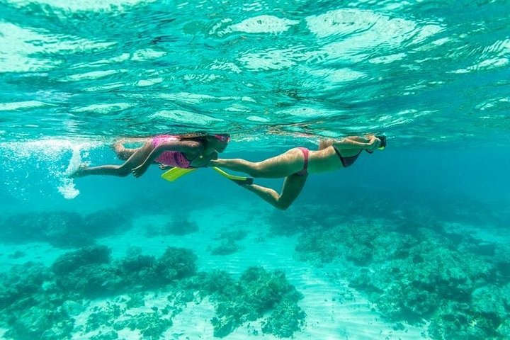 Goditi un tour in barca a vela con snorkeling di mezza giornata con pranzo e open bar nelle acque turchesi di Aruba, foto 5 | wizardtrip