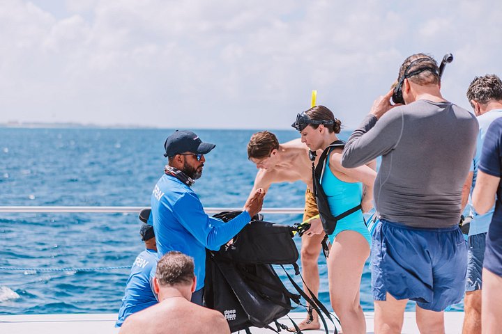 Goditi un tour in barca a vela con snorkeling di mezza giornata con pranzo e open bar nelle acque turchesi di Aruba, foto 16 | wizardtrip