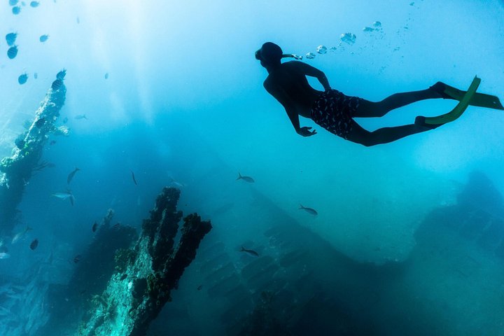 Goditi un tour in barca a vela con snorkeling di mezza giornata con pranzo e open bar nelle acque turchesi di Aruba, foto 20 | wizardtrip