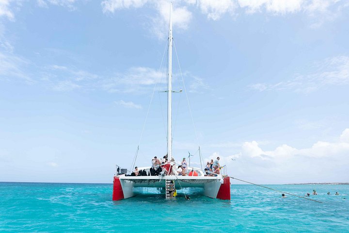 Goditi un tour in barca a vela con snorkeling di mezza giornata con pranzo e open bar nelle acque turchesi di Aruba, foto 28 | wizardtrip