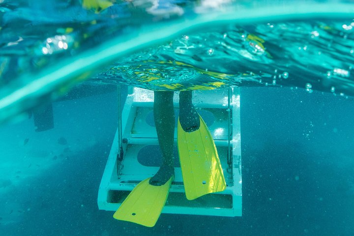 Goditi un tour in barca a vela con snorkeling di mezza giornata con pranzo e open bar nelle acque turchesi di Aruba, foto 30 | wizardtrip