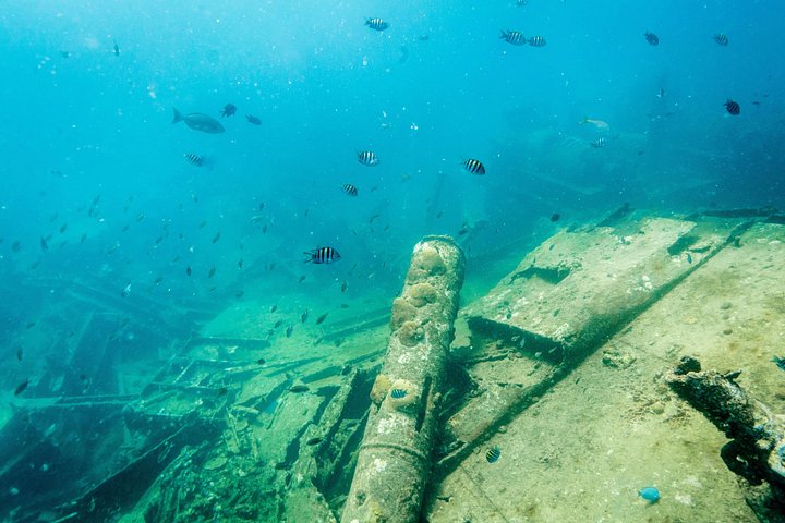 Goditi un tour in barca a vela con snorkeling di mezza giornata con pranzo e open bar nelle acque turchesi di Aruba, foto 32 | wizardtrip