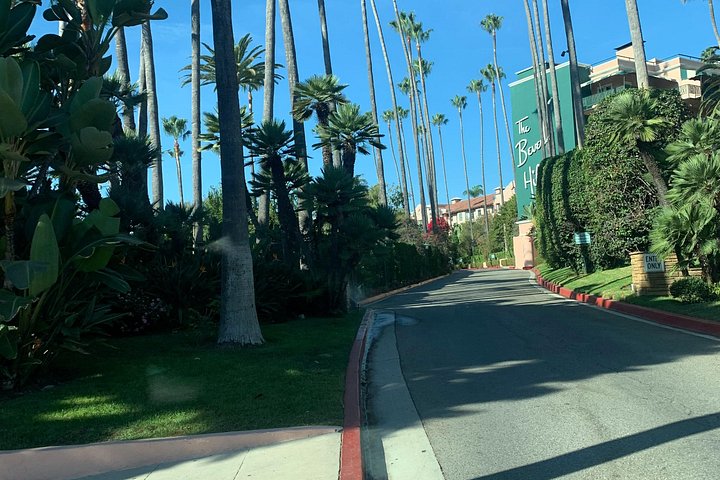 Scopri Hollywood e Beverly Hills in un tour di piccoli gruppi con luoghi iconici e case di celebrità, foto 14 | wizardtrip