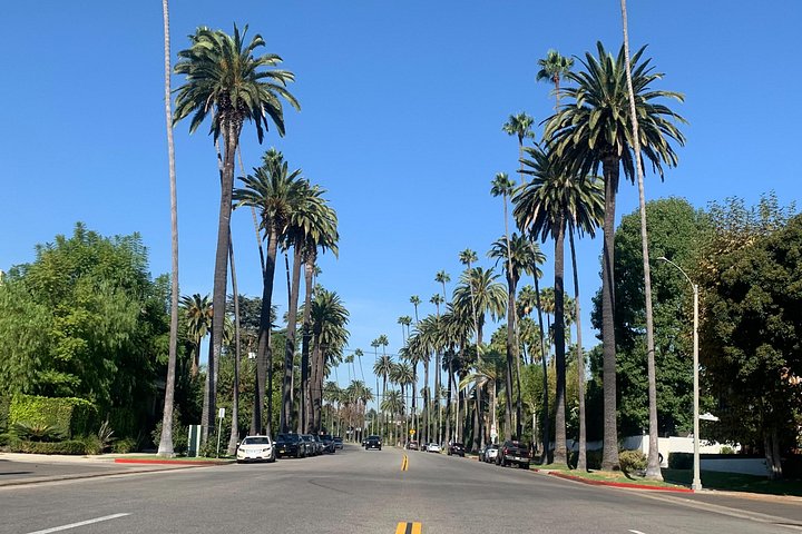 Scopri Hollywood e Beverly Hills in un tour di piccoli gruppi con luoghi iconici e case di celebrità, foto 18 | wizardtrip