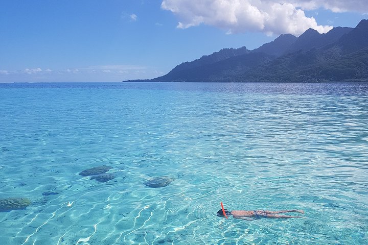 Small group snorkeling tour in the turquoise lagoon of Moorea, French Polynesia, with sharks and rays, photo 6 | wizardtrip